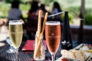 德甲联赛积分，一场看似简单的数字背后隐藏的足球世界德甲联赛积分