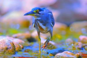 德甲情侣头像，浪漫与激情的完美结合德国德甲联赛情侣头像