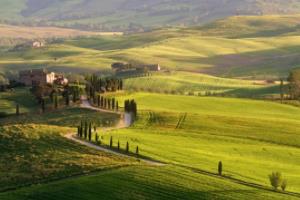 德甲联赛前的沉痛默哀，对疫情中逝去生命的致敬德甲联赛前将默哀